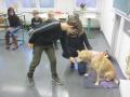 17.12.2019 Wer hat Angst vorm gro&szlig;en Hund