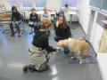 17.12.2019 Wer hat Angst vorm gro&szlig;en Hund